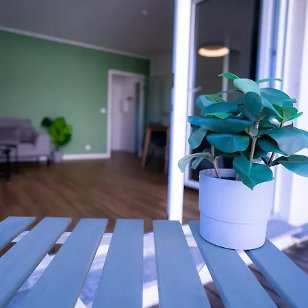 Design - Balkon - Induktionskochfeld - Zentral * Drezda