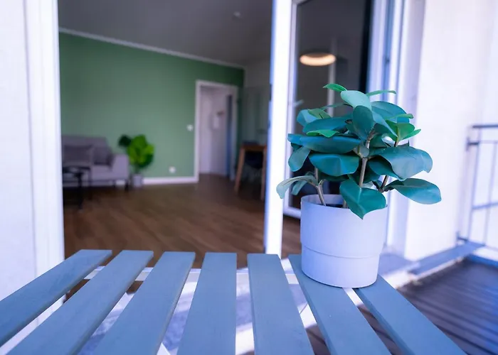 Design - Balkon - Induktionskochfeld - Zentral * Dresden